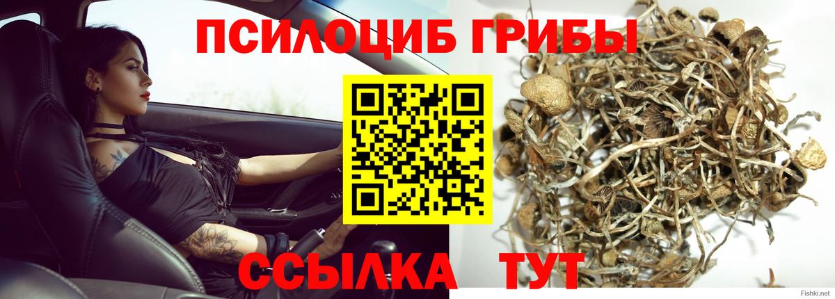 Сергиев Посад  Галлюциногенные грибы Psilocybe  Галлюциногенные грибы GOLDEN TEACHER  Вход с VPN 
