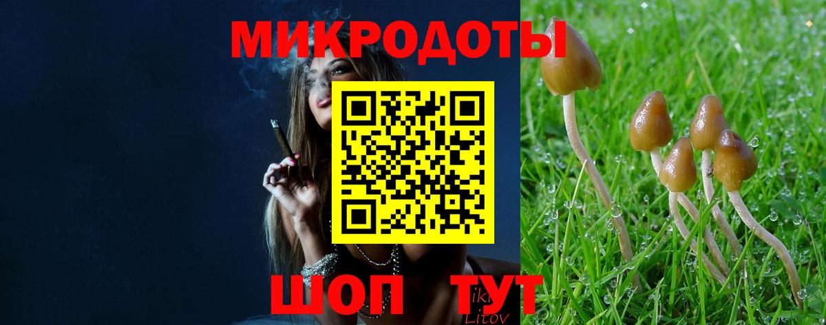 Галлюциногенные грибы Cubensis Сергиев Посад